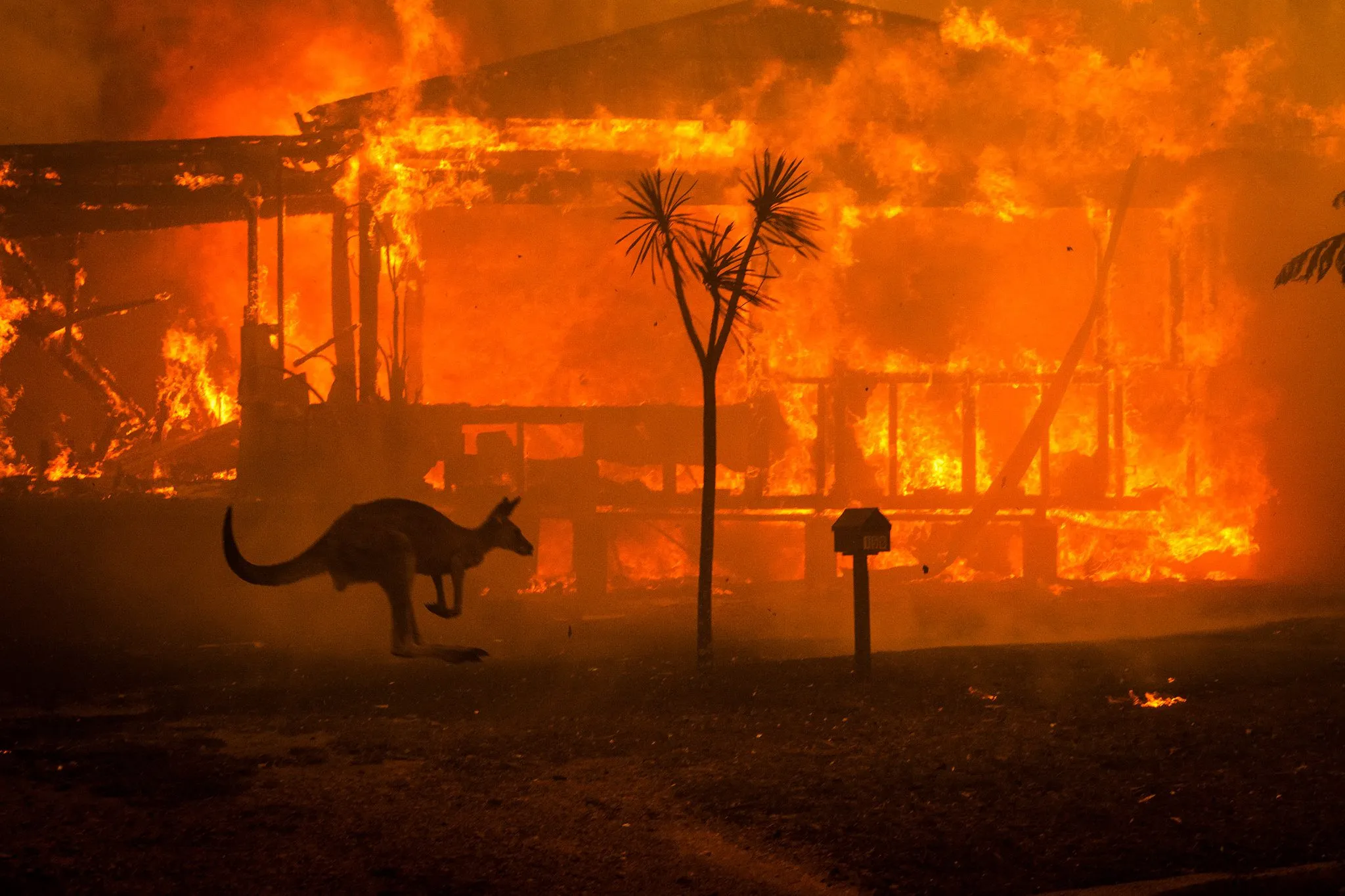 Australian Bushfires: Climate Change and the Black Summer Crisis