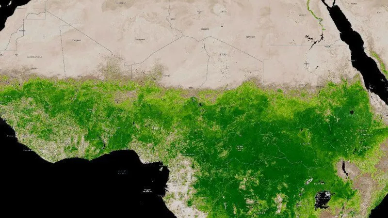 The Green Sahara: Is the World's Greatest Desert Transforming?
