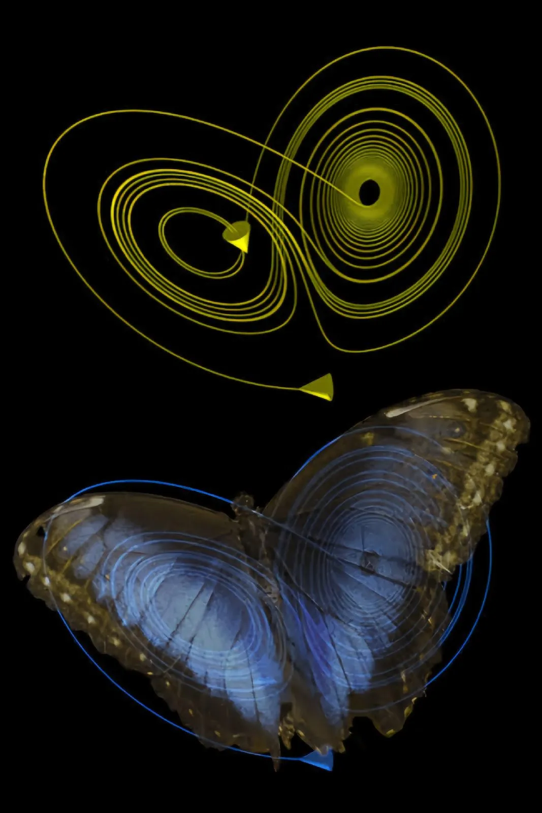The Butterfly Effect Explained: Chaos Theory in Real Life