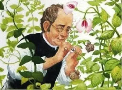 মেন্ডেলের মটরশুঁটির রহস্যভেদ: জেনেটিক্সের হারিয়ে যাওয়া ৩টি জিনের সন্ধান