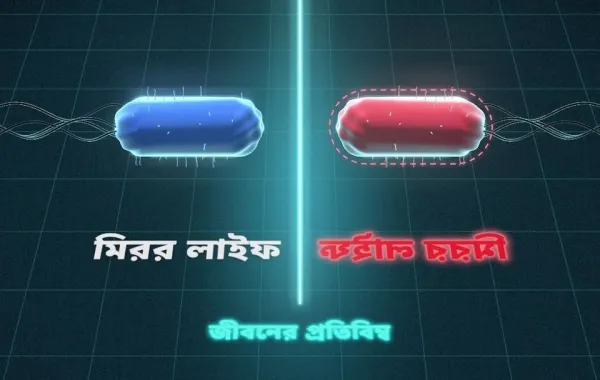 মিরর লাইফ: উল্টো জীবন