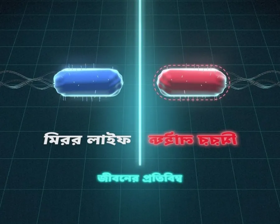 মিরর লাইফ: উল্টো জীবন