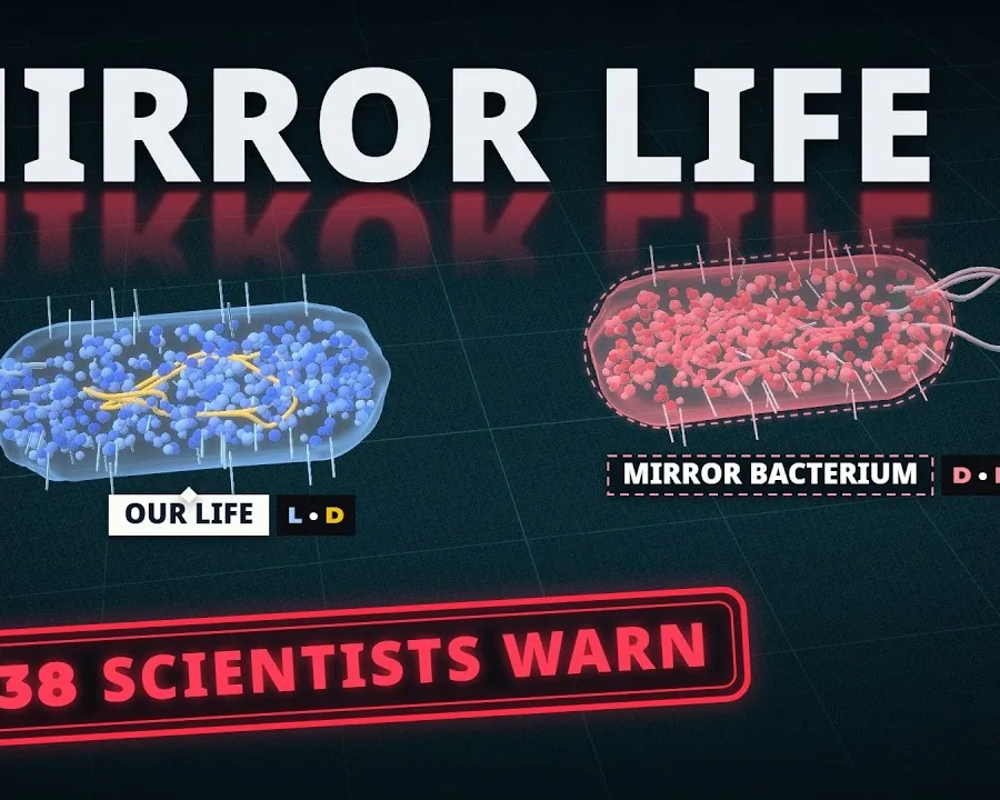 Mirror Bacteria: Should We Build Life in Reverse?